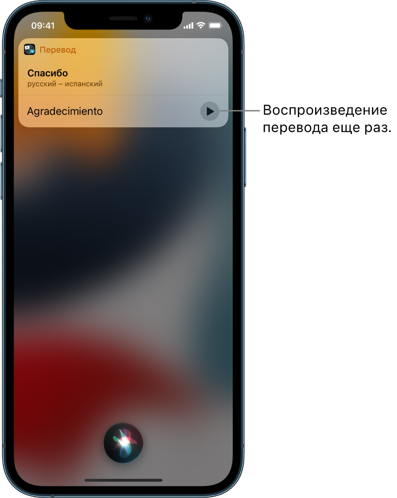 Siri отображает перевод английской фразы «спасибо» на французский. С помощью кнопки справа от перевода можно еще раз озвучить перевод.