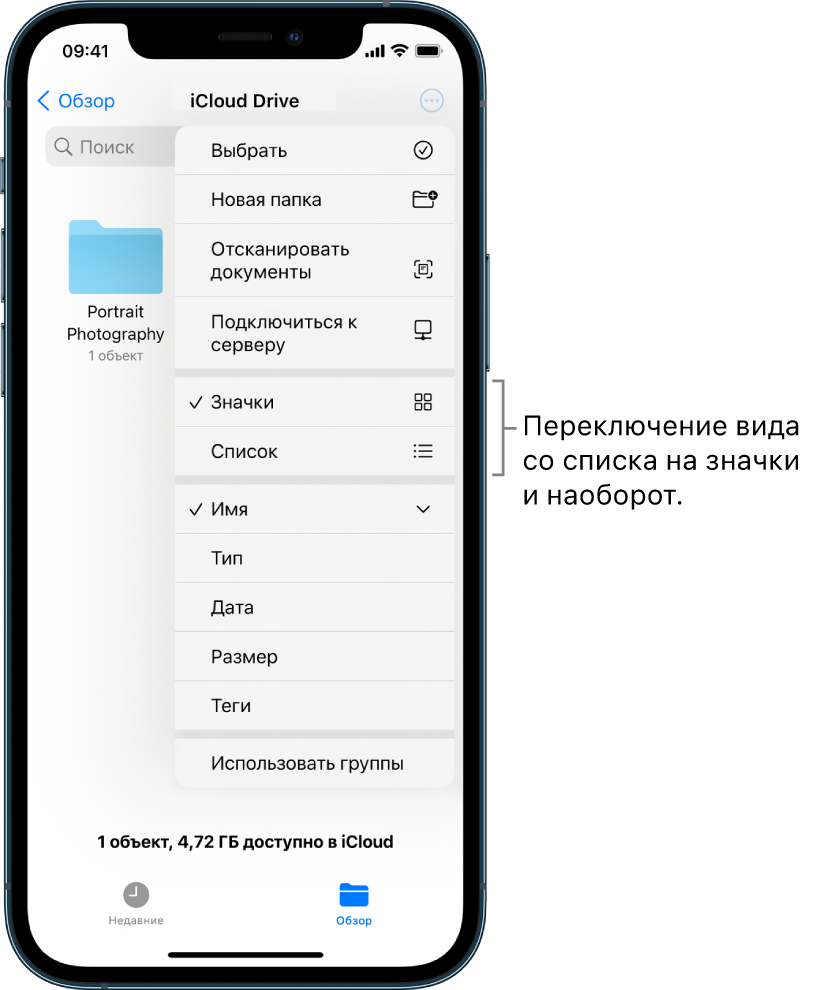 Место для файлов фотографий — iCloud Drive. Элементы отсортированы по названию. Они включают в себя папку «Cottage remodel» и шесть документов: Desert Stop, Karen Blue, Lakeside, Leafy Shadows, Mark Flip и Susan Green. Кнопка изменения вида с отображения списком на отображение значками расположена справа сверху.