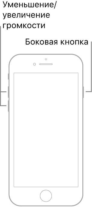 iPhone с кнопкой «Домой», повернутый экраном вверх. На левой стороне устройства показаны кнопки увеличения и уменьшения громкости, а на правой стороне показана боковая кнопка.