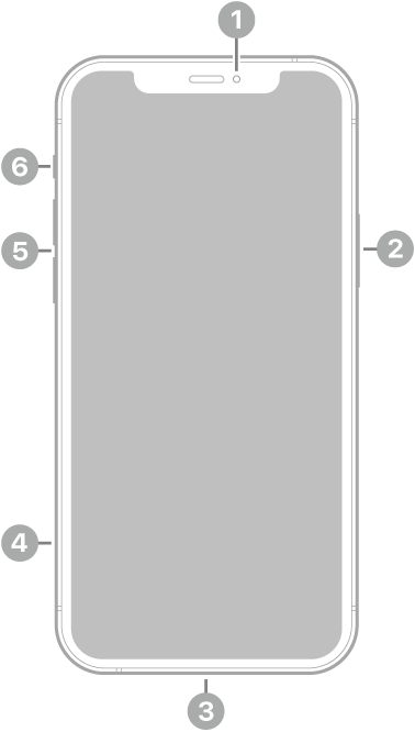 มุมมองด้านหน้าของ iPhone 12 Pro กล้องด้านหน้าอยู่ที่กึ่งกลางด้านบนสุด ปุ่มด้านข้างอยู่ทางด้านขวา ช่องต่อ Lightning อยู่ที่ด้านล่างสุด ทางด้านซ้าย จากด้านล่างสุดถึงด้านบนสุด คือถาดซิม ปุ่มระดับเสียง และสวิตช์เปิด/ปิดเสียง
