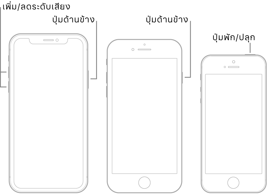 ภาพประกอบของ iPhone รุ่นต่างๆ สามรุ่น ซึ่งทั้งหมดหงายหน้าจอขึ้น ภาพประกอบซ้ายสุดแสดงปุ่มเพิ่มระดับเสียงและปุ่มลดระดับเสียง ซึ่งอยู่ด้านซ้ายของอุปกรณ์ ปุ่มด้านข้างแสดงอยู่ทางด้านขวา ภาพประกอบตรงกลางแสดงปุ่มด้านข้าง ซึ่งอยู่ด้านขวาของอุปกรณ์ ภาพประกอบขวาสุดแสดงปุ่มพัก/ปลุก ซึ่งอยู่ด้านบนสุดของอุปกรณ์
