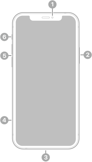 มุมมองด้านหน้าของ iPhone 12 กล้องด้านหน้าอยู่ที่กึ่งกลางด้านบนสุด ปุ่มด้านข้างอยู่ทางด้านขวา ช่องต่อ Lightning อยู่ที่ด้านล่างสุด ทางด้านซ้าย จากด้านล่างสุดถึงด้านบนสุด คือถาดซิม ปุ่มระดับเสียง และสวิตช์เปิด/ปิดเสียง