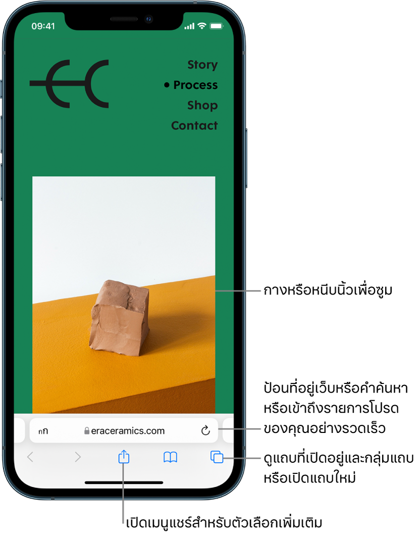 เว็บไซต์ที่เปิดอยูู่ใน Safari พร้อมกับมีช่องที่อยู่ที่ด้านล่างสุด ที่ด้านล่างสุด เรียงจากซ้ายไปขวา คือปุ่มย้อนกลับ ปุ่มไปข้างหน้า ปุ่มแชร์ ปุ่มที่คั่นหน้า และปุ่มแถบ