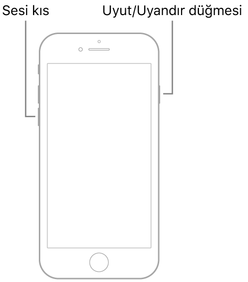 Ekranı yukarı bakan bir iPhone 7 resmi. Aygıtın sol tarafında ses yüksekliğini kapatma düğmesi gösteriliyor ve Uyut/Uyandır düğmesi sağda gösteriliyor.