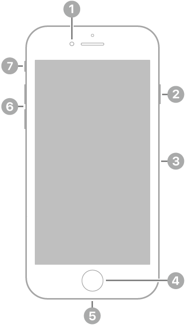 iPhone 7’nin önden görünüşü. Ön kamera en üstte, hoparlörün sol tarafında. Sağ tarafta yukarıdan aşağıya doğru yan düğme ve SIM tepsisi var. Ana Ekran düğmesi alt ortada. Lightning bağlayıcısı alt kenarda. Sol tarafta yukarıdan aşağıya doğru ses yüksekliği düğmeleri ve sesli/sessiz anahtarı var.