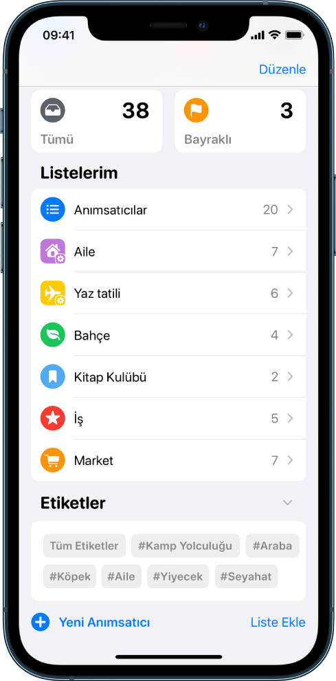 Anımsatıcılar’da birçok listenin gösterildiği bir ekran. Etiket Tarayıcı en altta.
