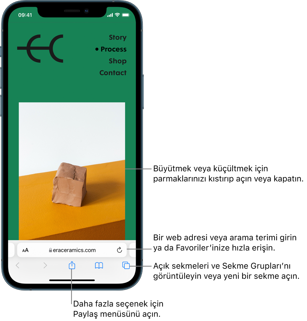 Safari’de açık bir web sitesi; adres alanı en altta. En altta, soldan sağa doğru Geri, İleri, Paylaş, Yer İşaretleri ve Sekmeler düğmeleri var.