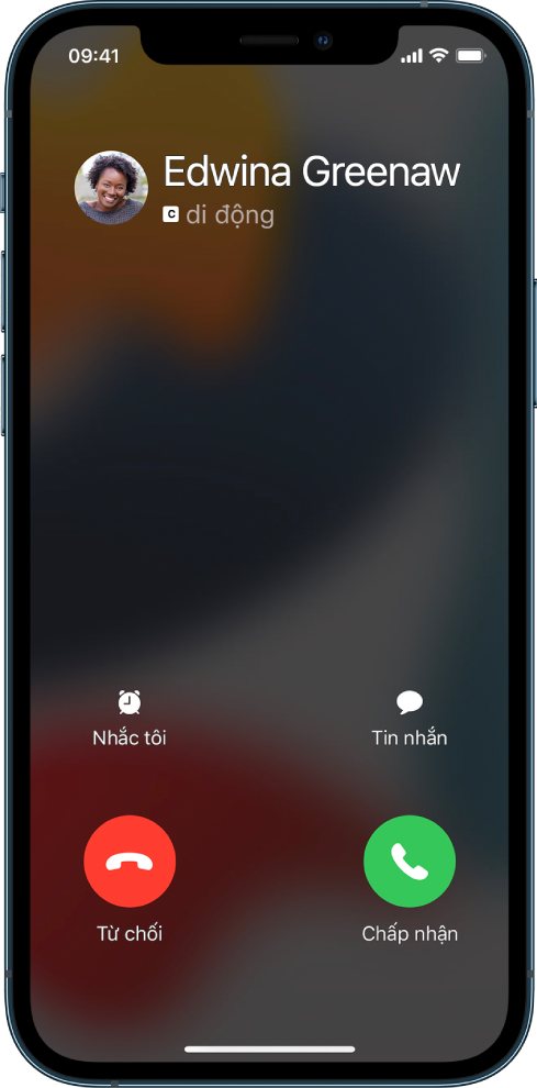 Một màn hình đang hiển thị một thông báo về cuộc gọi đến ở trên cùng. Các nút Từ chối và Chấp nhận ở trên cùng bên phải.