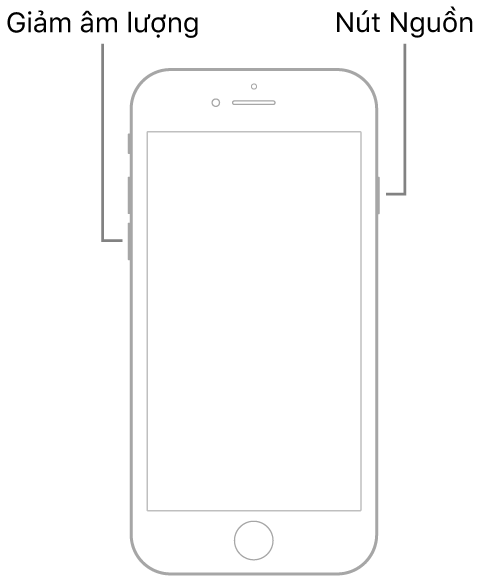 Hình minh họa của iPhone 7 có màn hình hướng lên trên. Nút giảm âm lượng được hiển thị ở cạnh trái của thiết bị và nút Nguồn được hiển thị ở bên phải.
