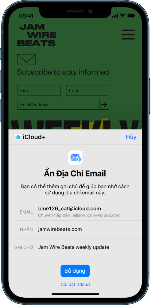 Nửa dưới của màn hình là tùy chọn Ẩn Địa Chỉ Email cho iCloud+. Tùy chọn này liệt kê email được tạo ngẫu nhiên, địa chỉ chuyển tiếp, một nhãn và một ghi chú. Ở cuối màn hình là nút Sử dụng và liên kết đến cài đặt iCloud.