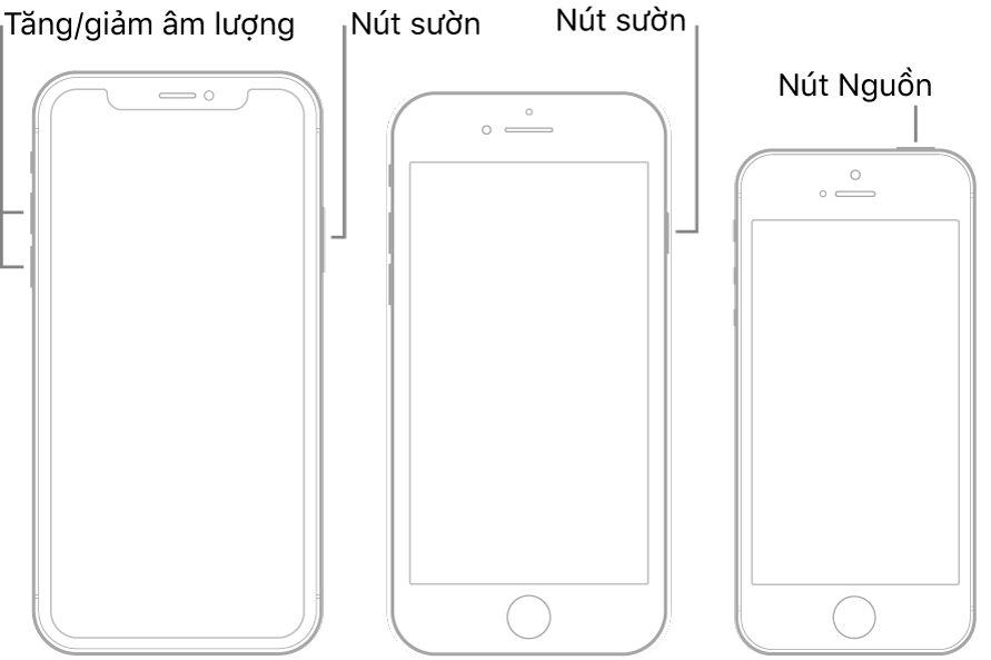 Hình minh họa của ba kiểu máy iPhone khác nhau, tất cả đều có màn hình hướng lên trên. Hình minh họa ở ngoài cùng bên trái hiển thị các nút tăng và giảm âm lượng ở cạnh bên trái của thiết bị. Nút sườn được hiển thị ở bên phải. Hình minh họa ở giữa hiển thị nút sườn nằm ở bên phải của thiết bị. Hình minh họa ở ngoài cùng bên phải hiển thị nút Nguồn ở đầu thiết bị.