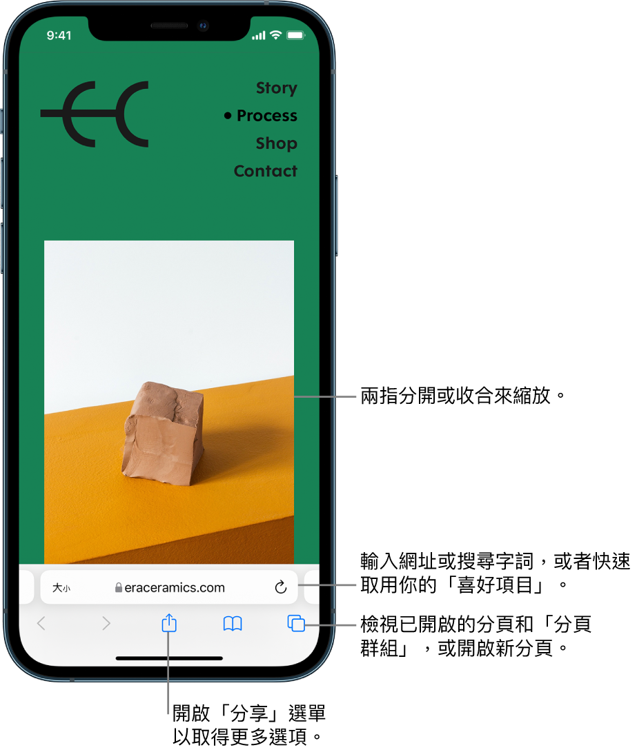 在 Safari 中開啟一個網站，網址欄位在底部。螢幕底部從左到右依序是：「上一頁」、「下一頁」、「分享」、「書籤」和「分頁」按鈕。