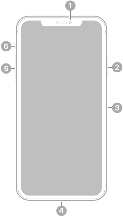 iPhone 11 Pro Max 的正面。前置鏡頭位於中間上方。在右邊，由上至下為側邊按鈕和 SIM 卡托盤。Lightning 接口位於底部。在左邊，由下至上為音量按鈕，以及響鈴/靜音切換。