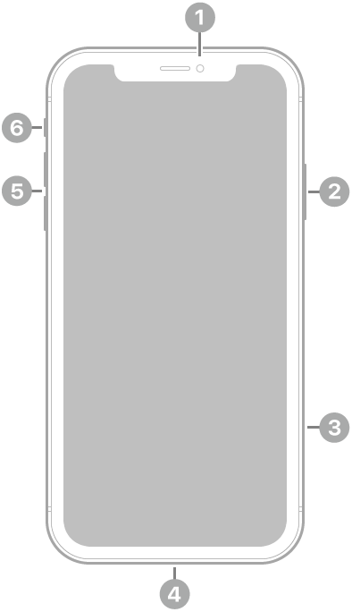 iPhone 11 的正面。前置鏡頭位於中間上方。在右邊，由上至下為側邊按鈕和 SIM 卡托盤。Lightning 接口位於底部。在左邊，由下至上為音量按鈕，以及響鈴/靜音切換。