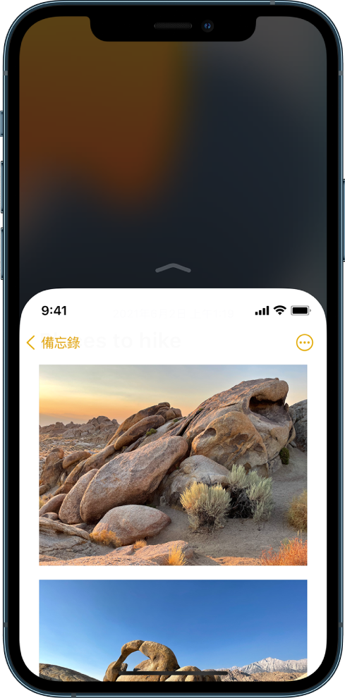 已啟用「單手模式」的 iPhone 螢幕。螢幕的最上方已向下移動，讓其位於你拇指輕鬆觸及的位置。