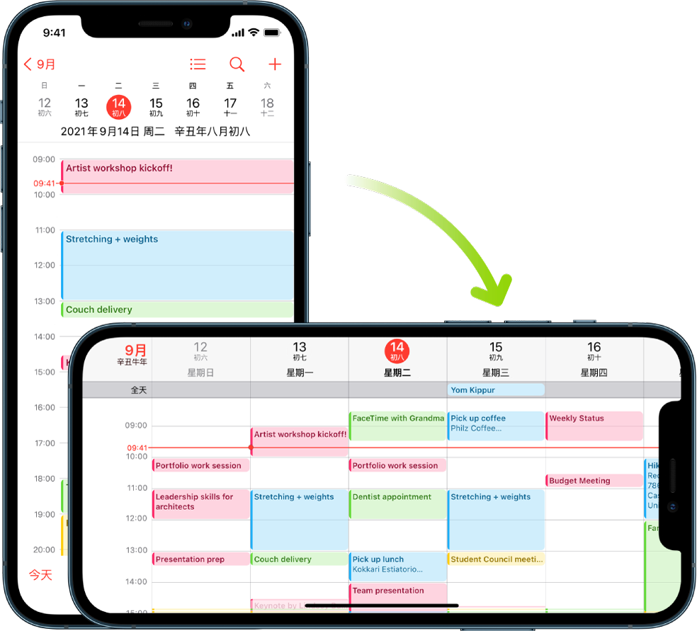 背景中的 iPhone 显示“日历”屏幕，其中以竖排方向显示一天的日程；前景中的 iPhone 转动到横排方向，显示包含该天在内的整周的“日历”日程。