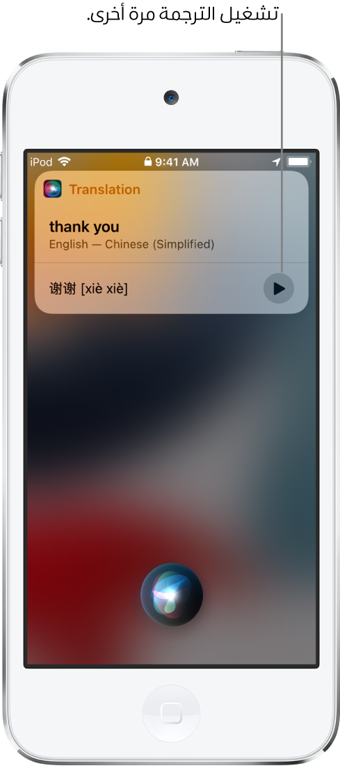 يعرض Siri ترجمة العبارة العربية "شكرًا لك" بالإنجليزية. يوجد زر على يسار الترجمة يعيد تشغيل صوت الترجمة.