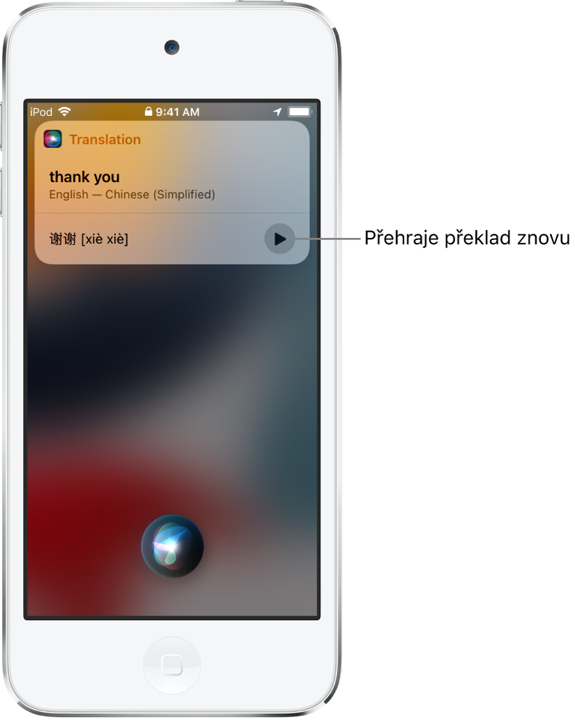 Siri zobrazuje překlad anglické fráze „thank you“ do mandarínštiny. Tlačítkem vpravo od překladu lze přehrát mluvenou verzi překladu.