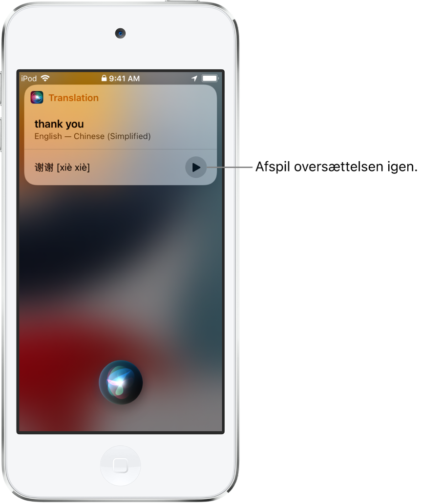 Siri viser en oversættelse af "tak" på mandarin. En knap til højre afspiller lyden af oversættelsen igen.