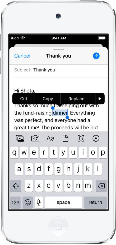 Select, cut, copy, and paste text on iPod touch - Apple Support (CA)