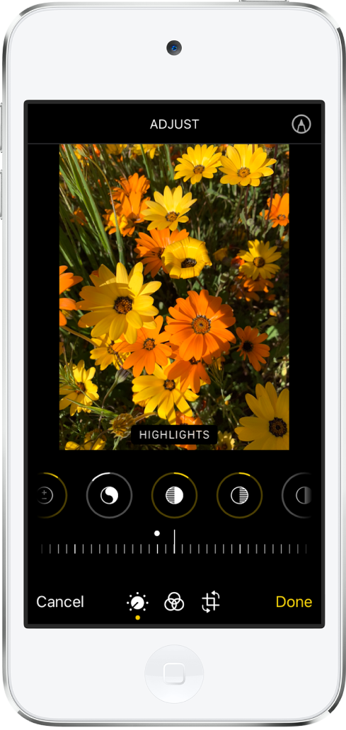 Edit photos and videos on iPod touch - Apple Support (CA)