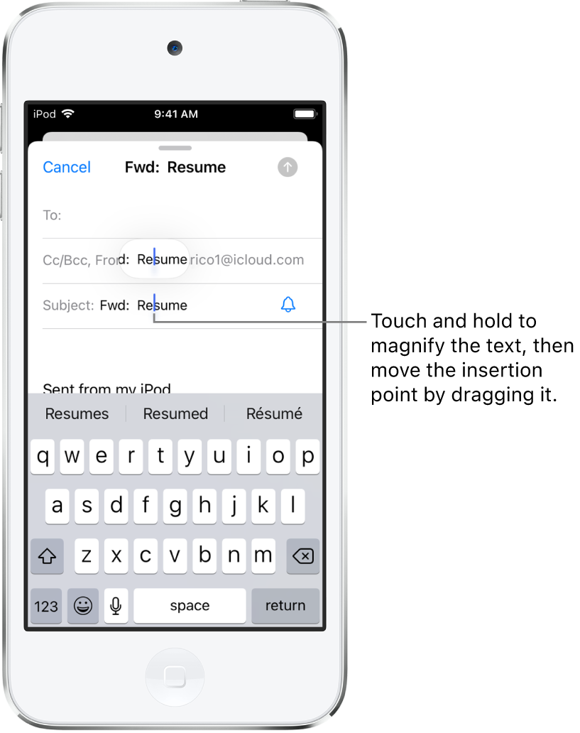 Select, cut, copy, and paste text on iPod touch - Apple Support (CA)