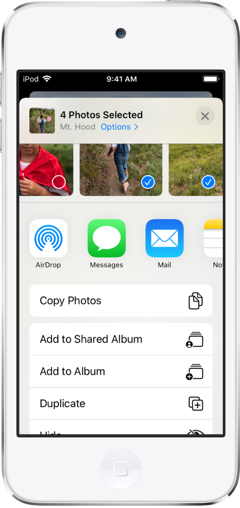 Use photo albums in Photos on iPhone - Apple Support