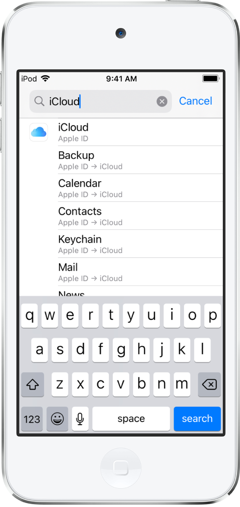 The search settings screen, with the search field at the top. The search term “iCloud” is in the search field, and the found settings are in the list below.