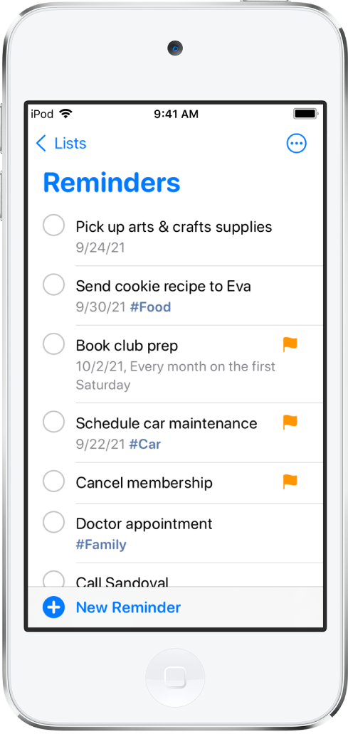 A Reminders screen showing a to-do list. The New Reminder button is at the bottom left.