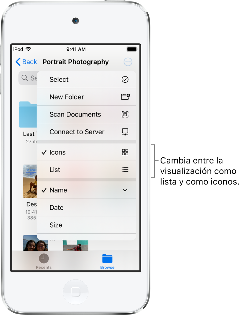 Ubicación de iCloud Drive para archivos de fotografía. Los ítems, organizados por nombre, son una carpeta llamada “Renovación de la casa” y seis documentos: Parada en el desierto, Azul Carolina, Pantano, Sombras de hojas, Voltereta de Marcos y Verde Susana. Cerca de la parte superior derecha se muestra un botón para cambiar entre la visualización de lista y como iconos.