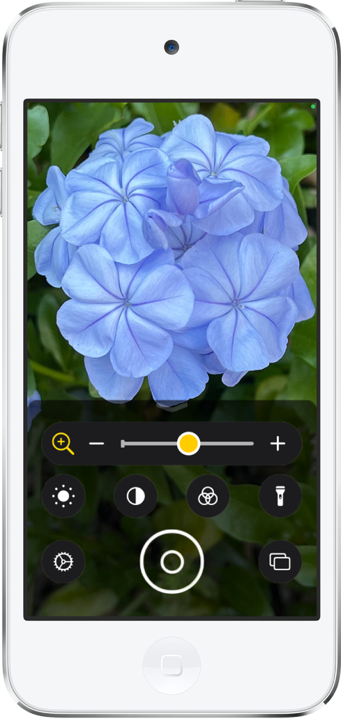 L’écran de la loupe affichant une fleur en gros plan.