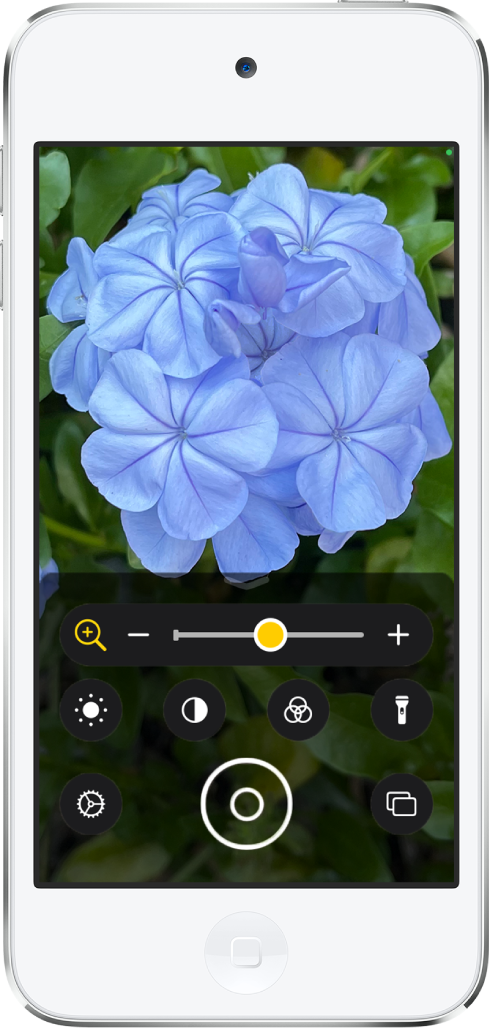 Lupe-skjermen som viser et nærbilde av en blomst.