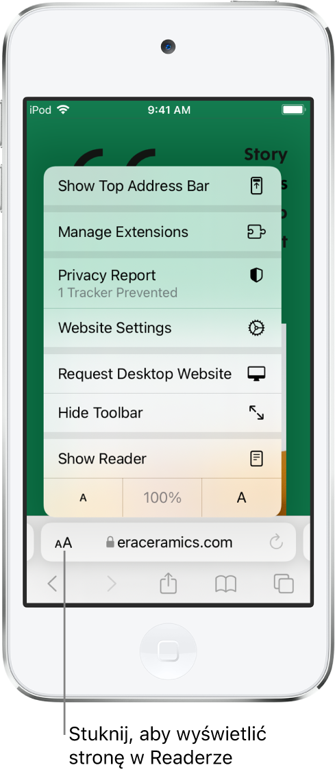 Menu ustawień strony. Na dole menu znajduje się opcja Pokaż Readera.
