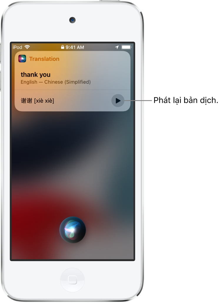 Siri hiển thị một bản dịch của cụm từ Tiếng Anh “thank you” sang Tiếng Hoa phổ thông. Một nút ở bên phải bản dịch phát lại âm thanh của bản dịch.