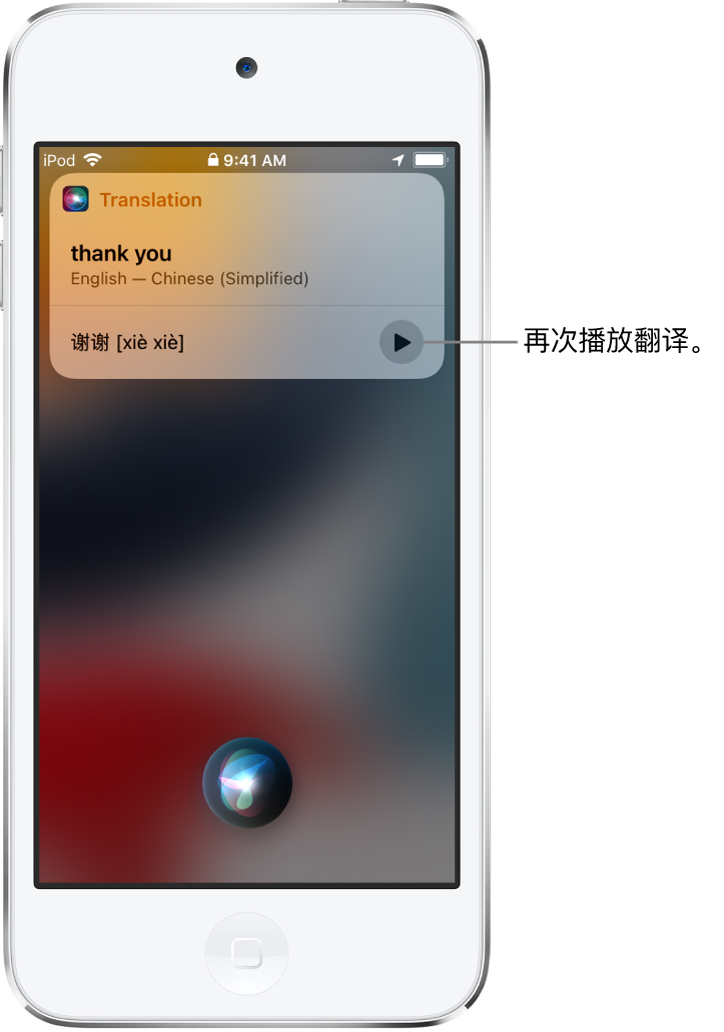 Siri 显示普通话“谢谢”对应的英文翻译。翻译右侧的按钮，用于重新播放翻译的音频。