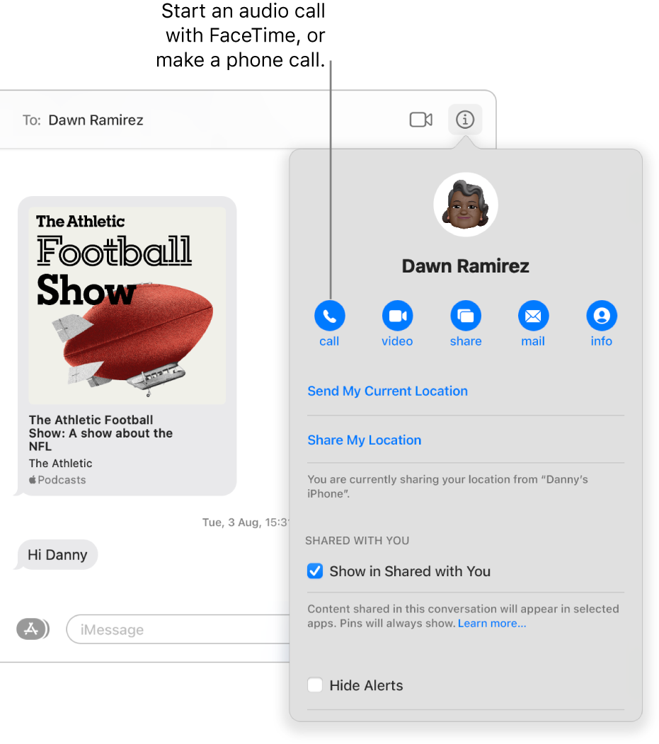 Details view, which appears after you click the Details button in a conversation. Use the call button on the left to start an audio call with FaceTime or make a phone call.