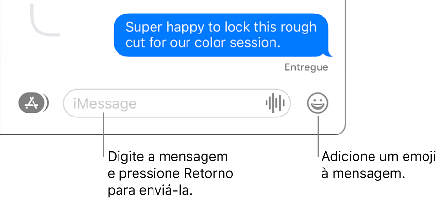 Uma transcrição na janela do app Mensagens, com o campo de mensagem exibido na parte inferior da janela.