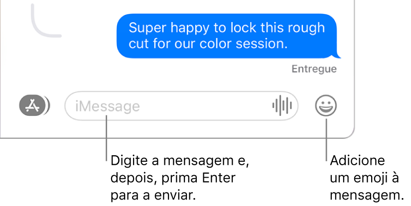 Uma transcrição na janela da aplicação Mensagens, com o campo de mensagem na parte inferior da janela.