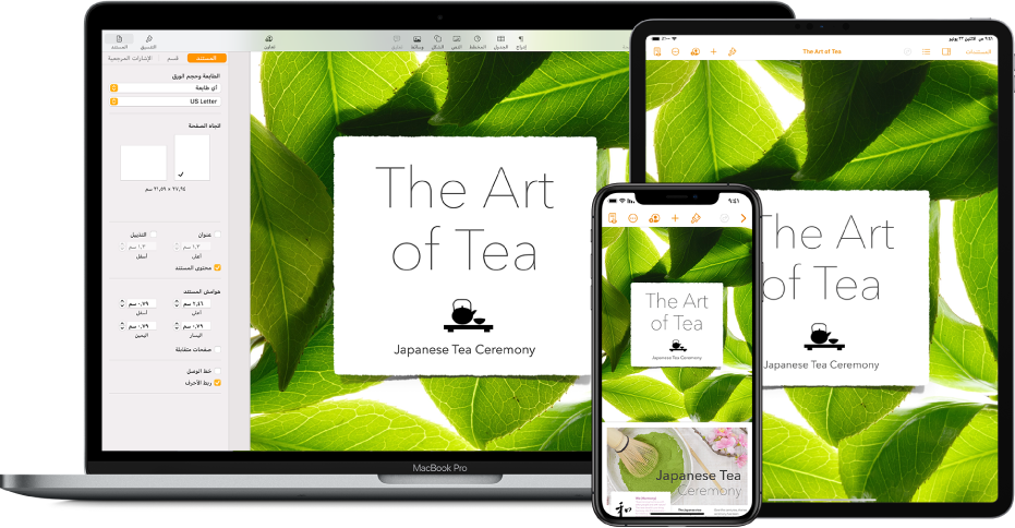 تظهر نفس الملفات والمجلدات في iCloud Drive في نافذة Finder على جهاز Mac وتطبيق iCloud Drive على الـ iPhone والـ iPad.