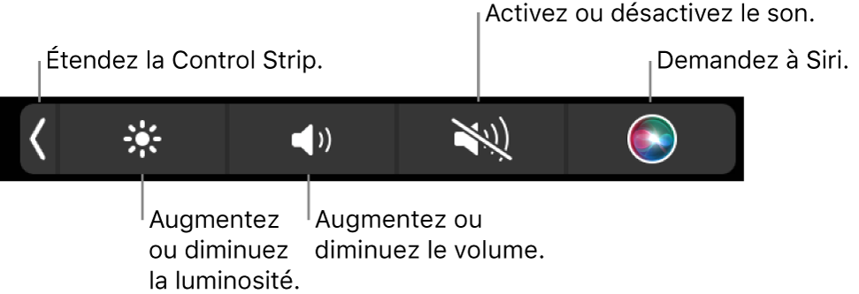 La Control Strip condensée comprend des boutons de gauche à droite, pour développer la Control Strip, augmenter ou baisser la luminosité de l’écran ou le volume, couper ou rétablir le son et utiliser Siri.