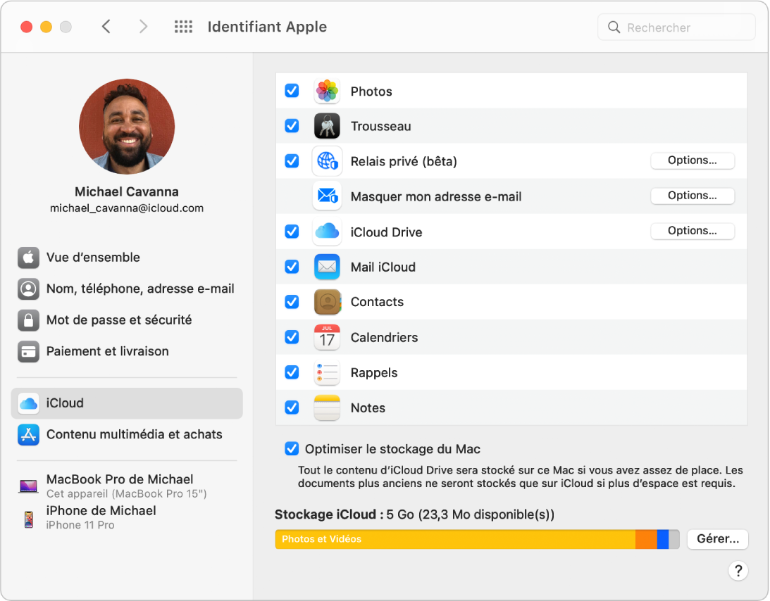 Préférences « Identifiant Apple » montrant une barre latérale de différents types d’options de compte que vous pouvez utiliser et les préférences iCloud pour un compte existant.