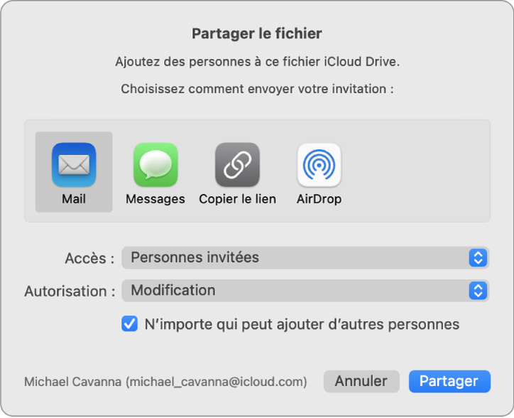 La fenêtre « Partager le fichier » affichant les apps que vous pouvez utiliser pour envoyer des invitations ainsi que les options de partage de documents.
