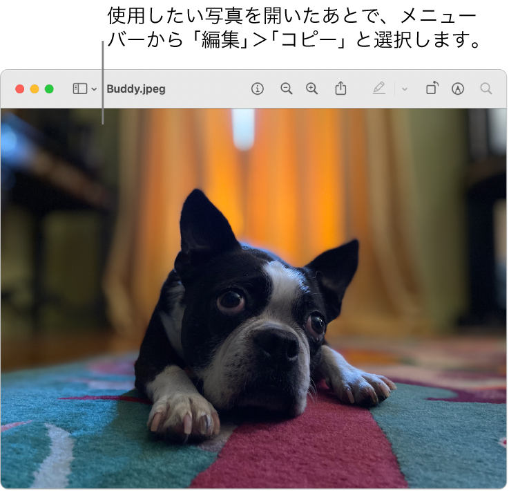 Macでファイルやフォルダのアイコンを変更する Apple サポート 日本