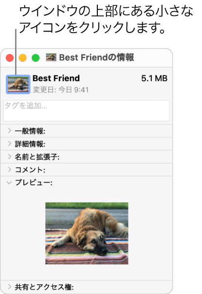 Macでファイルやフォルダのアイコンを変更する Apple サポート 日本