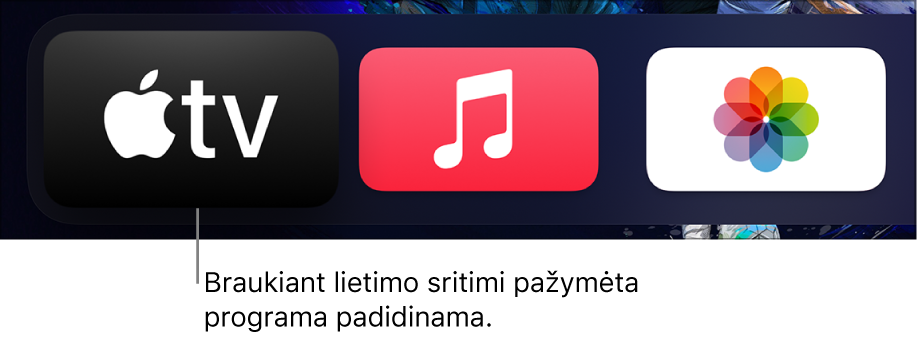 Pasirinkta programa pradžios ekrane