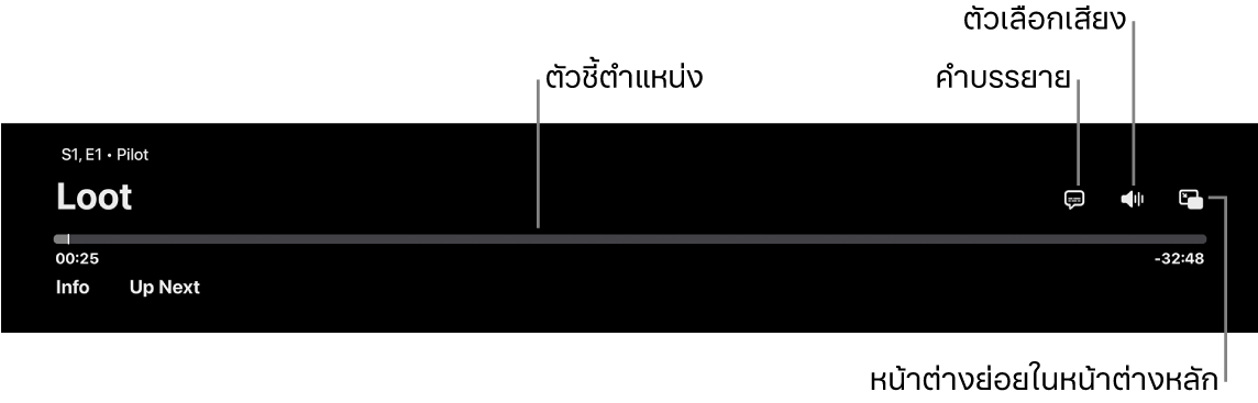 ตัวควบคุมการเล่น