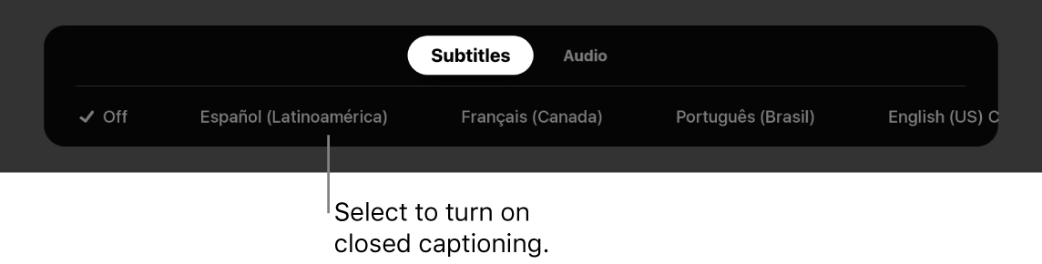Subtitles menu during playback