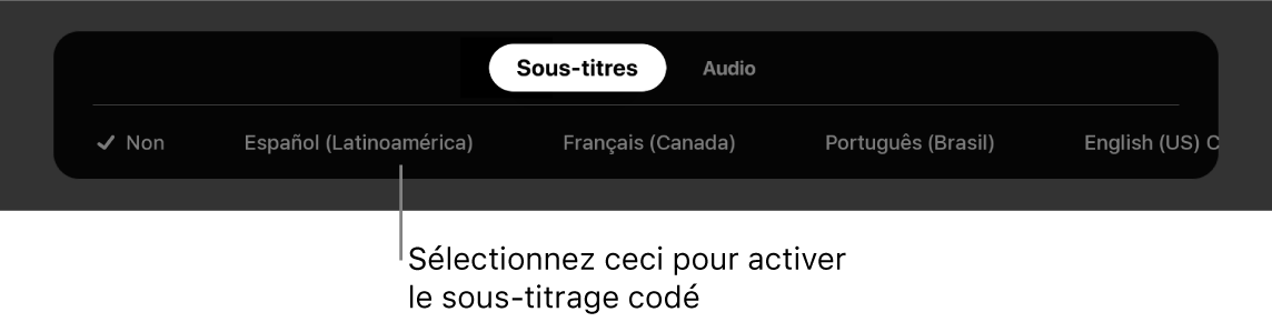 Menu Sous-titres pendant la lecture