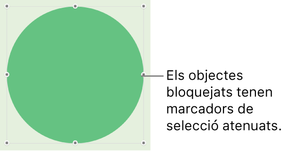 Un objecte bloquejat, amb els marcadors de selecció atenuats.