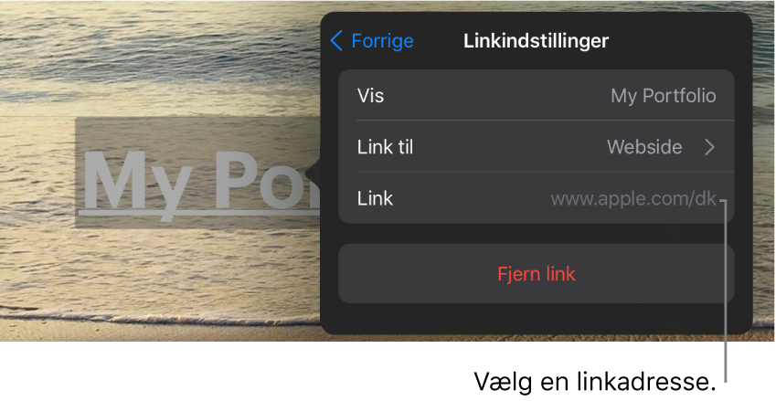 Betjeningsmulighederne til Linkindstillinger med felterne Vis, Link til (Webside er valgt) og Link. Knappen Fjern link vises nederst.